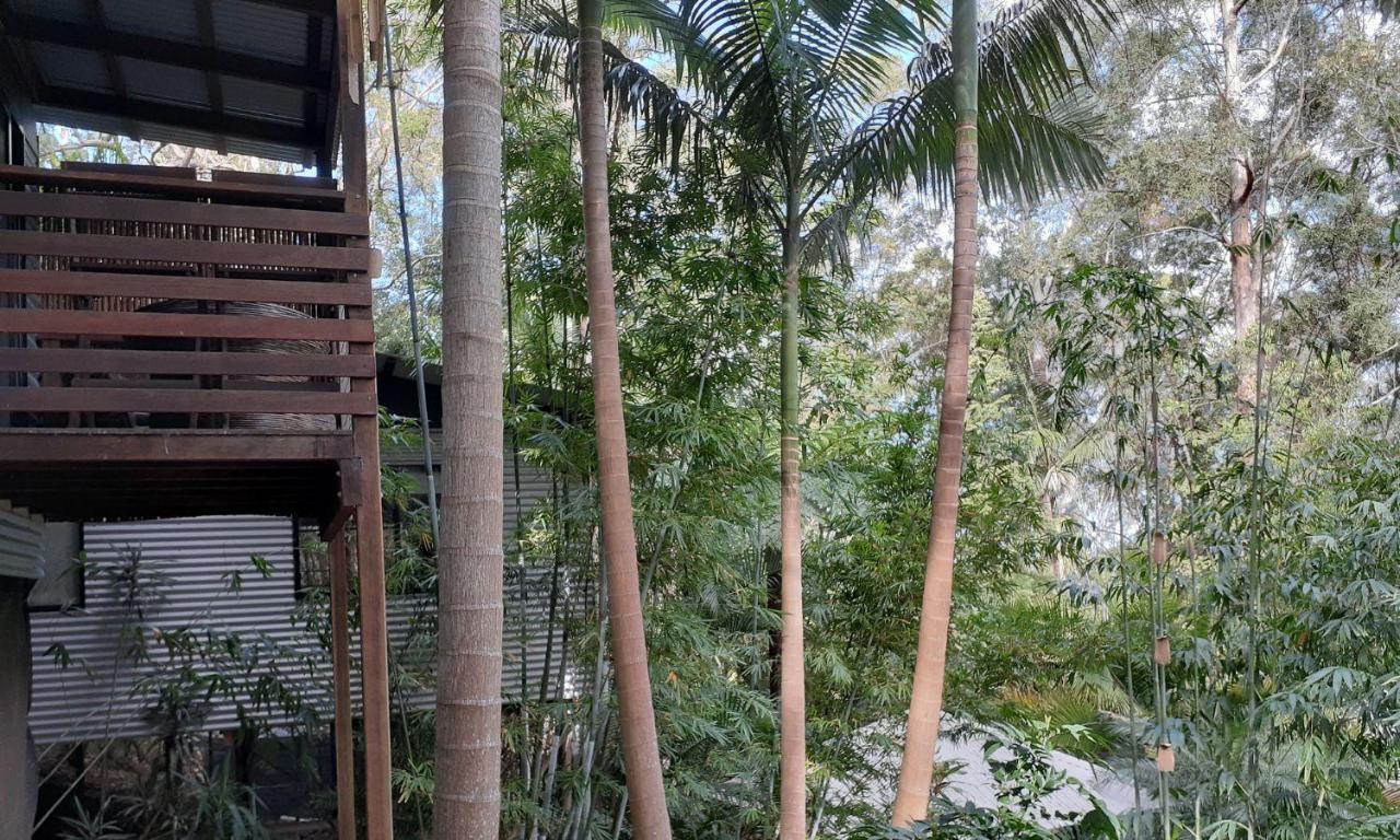 Alaya Escape Bed & Breakfast Eudlo Exterior photo