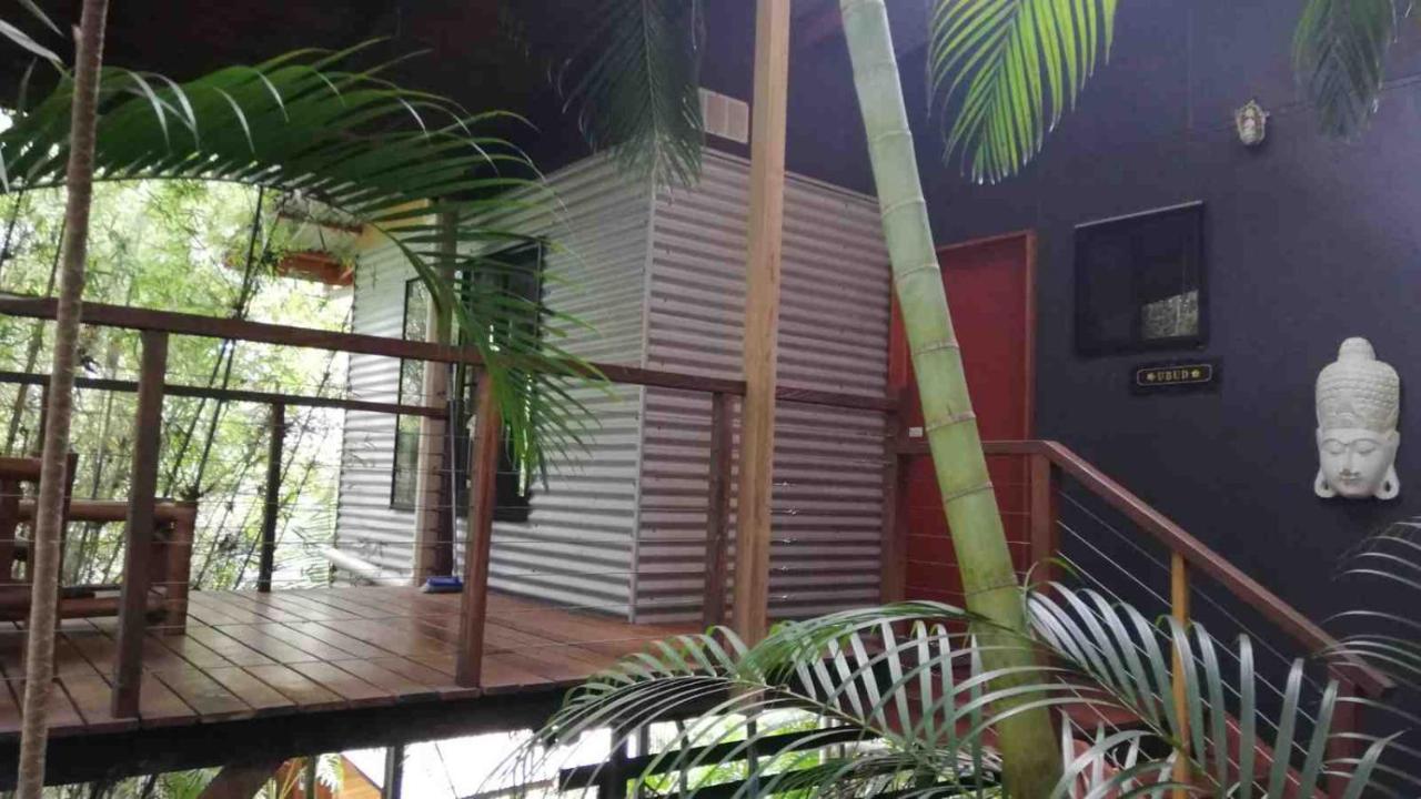 Alaya Escape Bed & Breakfast Eudlo Exterior photo