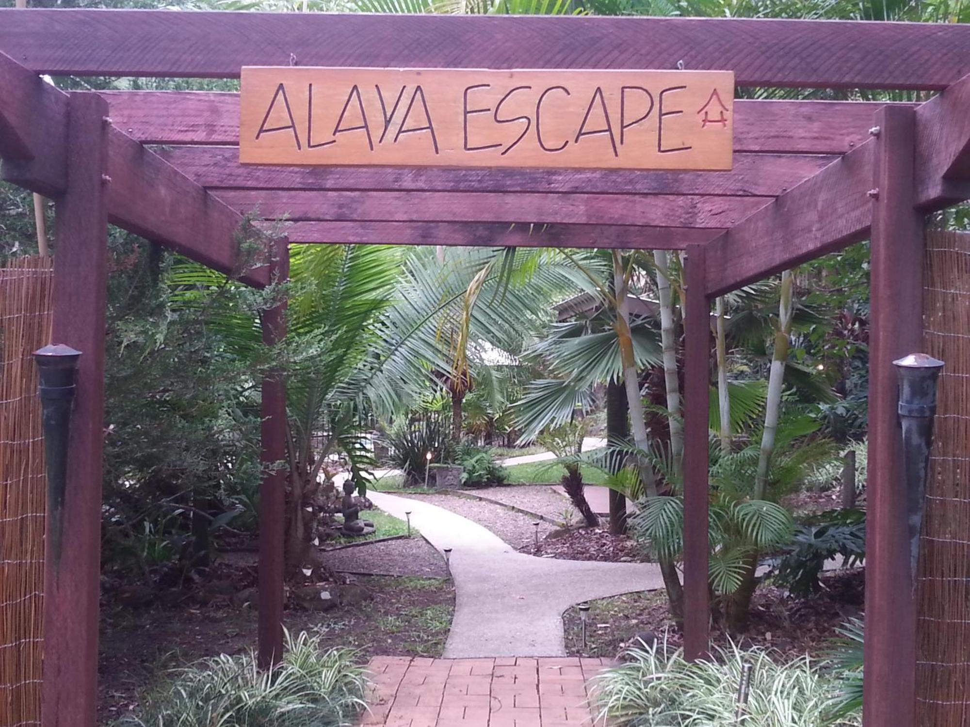 Alaya Escape Bed & Breakfast Eudlo Exterior photo