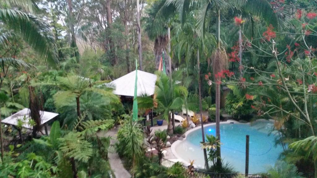 Alaya Escape Bed & Breakfast Eudlo Exterior photo