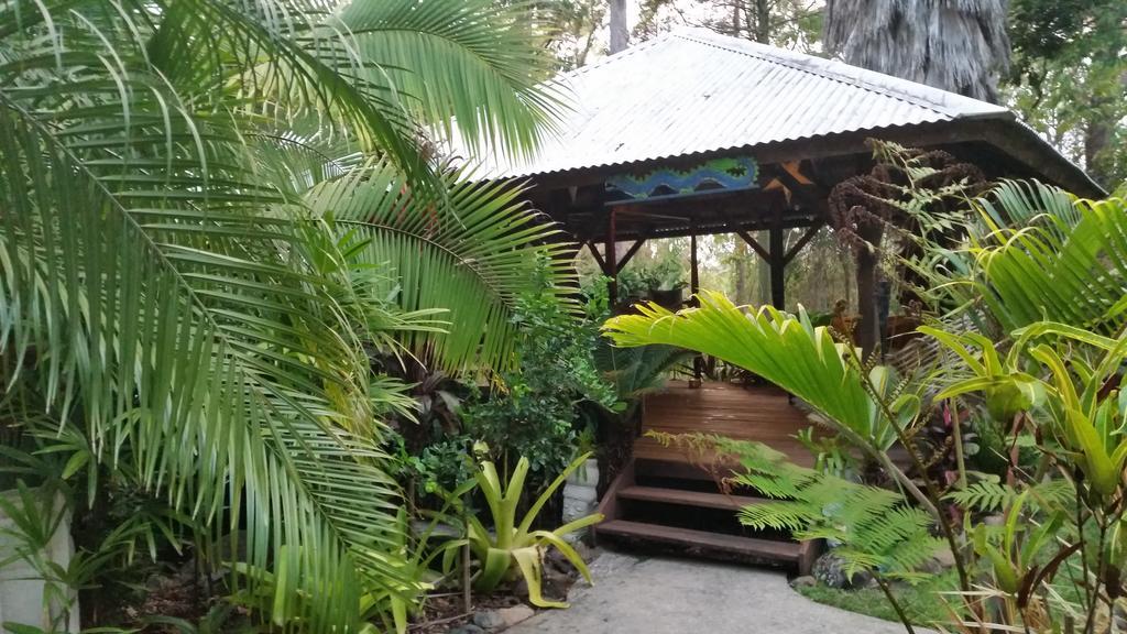 Alaya Escape Bed & Breakfast Eudlo Exterior photo