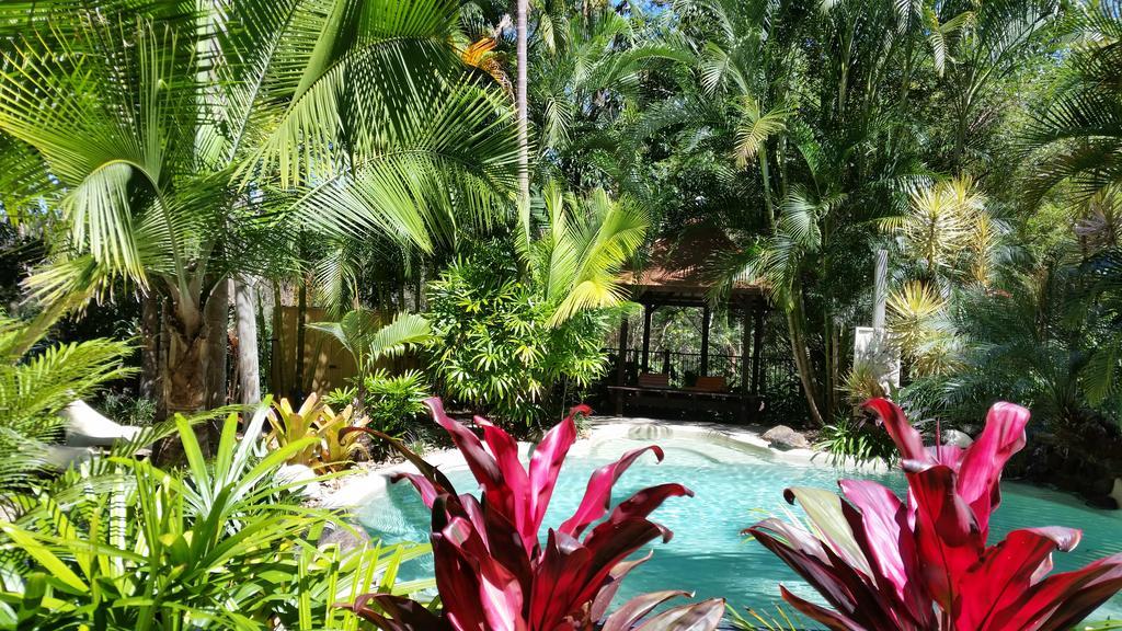 Alaya Escape Bed & Breakfast Eudlo Exterior photo