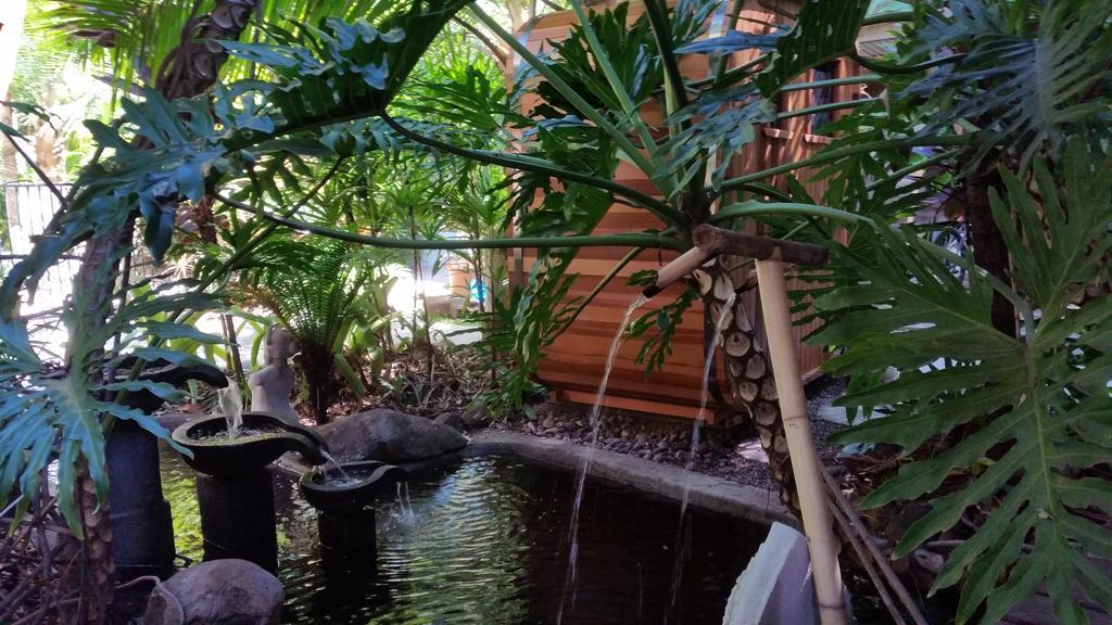 Alaya Escape Bed & Breakfast Eudlo Exterior photo