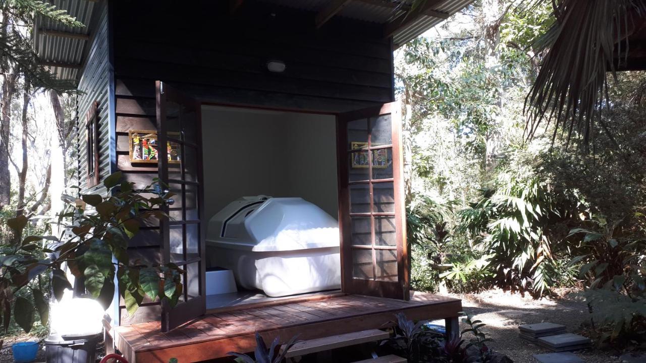 Alaya Escape Bed & Breakfast Eudlo Exterior photo